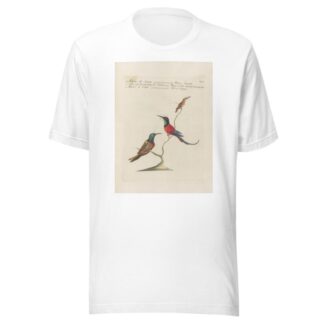 Ornithologia methodice digesta Pl.387 by Saverio Manetti T-Shirt