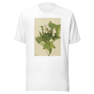 White Flowering Raspberry by Mary Vaux Walcott T-Shirt