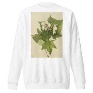White Flowering Raspberry by Mary Vaux Walcott Sweatshirt