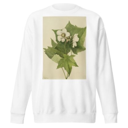 White Flowering Raspberry by Mary Vaux Walcott Sweatshirt