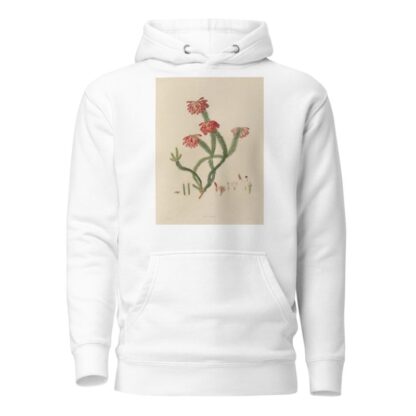 Delineations of exotick plants cultivated in the Royal gardens at Kew Pl.30 by Franz Andreas Bauer Hoodie