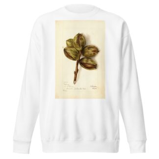 Carya: Delmas by Bertha Heiges Sweatshirt