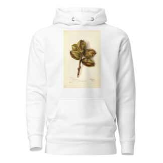 Carya: Delmas by Bertha Heiges Hoodie