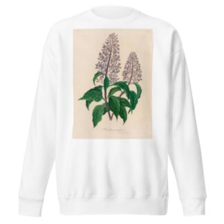 Hosta coerulea by Gaetano Savi Sweatshirt