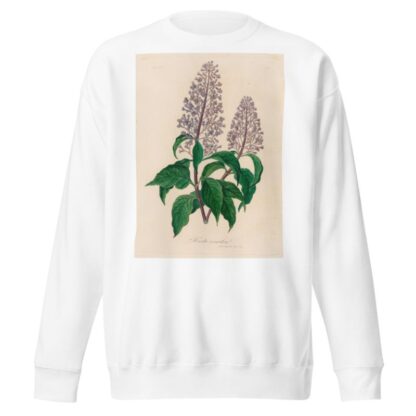 Hosta coerulea by Gaetano Savi Sweatshirt
