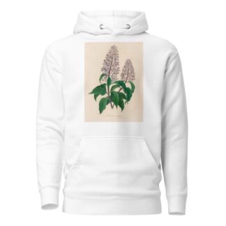 Hosta coerulea by Gaetano Savi Hoodie