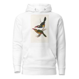 A monograph of the Ramphastidae, or family of toucans Pl.22 by John Gould Hoodie