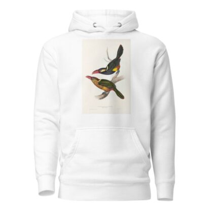 A monograph of the Ramphastidae, or family of toucans Pl.22 by John Gould Hoodie
