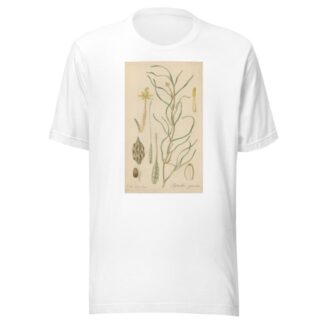 Leptanthus gramineus by William Jackson Hooker T-Shirt