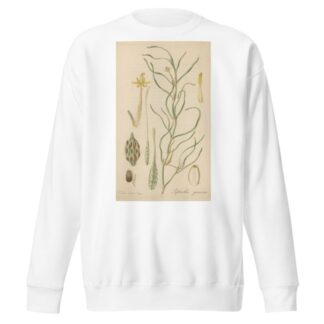 Leptanthus gramineus by William Jackson Hooker Sweatshirt