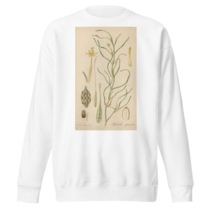 Leptanthus gramineus by William Jackson Hooker Sweatshirt