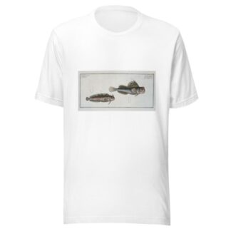 1. Blennius ocellaris, The Butterfly-fish; 2. Blennius Gattorugine. by Marcus Elieser Bloch T-Shirt