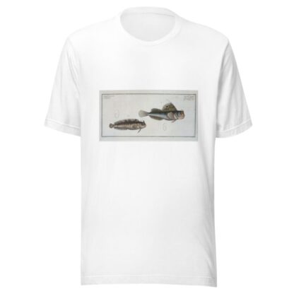1. Blennius ocellaris, The Butterfly-fish; 2. Blennius Gattorugine. by Marcus Elieser Bloch T-Shirt