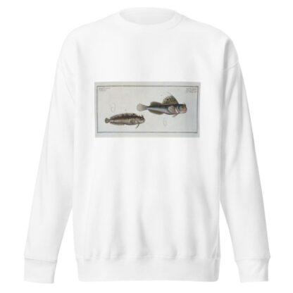 1. Blennius ocellaris, The Butterfly-fish; 2. Blennius Gattorugine. by Marcus Elieser Bloch Sweatshirt