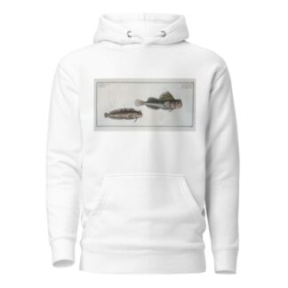 1. Blennius ocellaris, The Butterfly-fish; 2. Blennius Gattorugine. by Marcus Elieser Bloch Hoodie