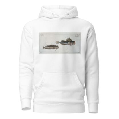 1. Blennius ocellaris, The Butterfly-fish; 2. Blennius Gattorugine. by Marcus Elieser Bloch Hoodie