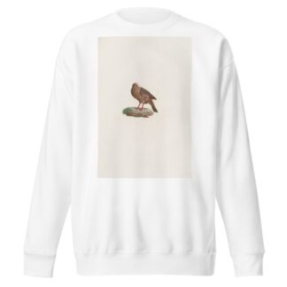 Les pigeons Pl.84 by Coenraad Jacob Temminck Sweatshirt