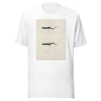 Salamandra glutinosa by John Edwards Holbrook T-Shirt
