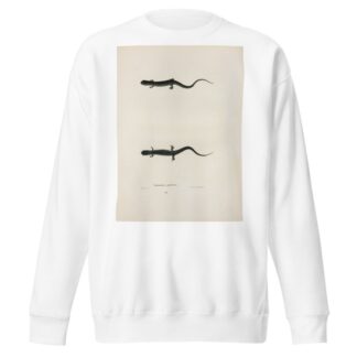 Salamandra glutinosa by John Edwards Holbrook Sweatshirt