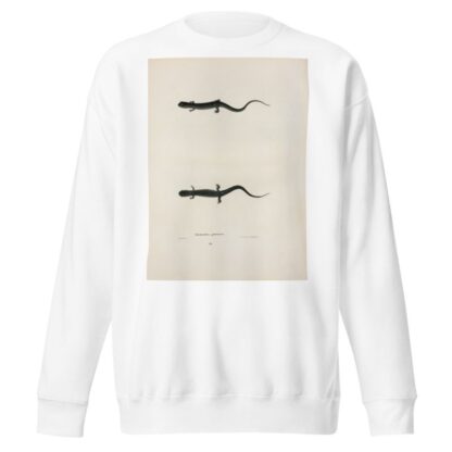Salamandra glutinosa by John Edwards Holbrook Sweatshirt