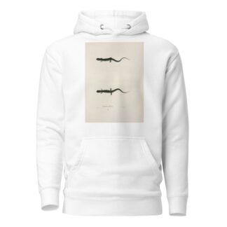 Salamandra glutinosa by John Edwards Holbrook Hoodie