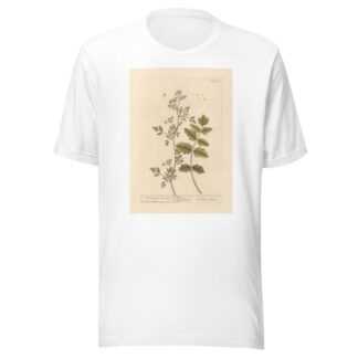 The German amomum by Elizabeth Blackwell T-Shirt