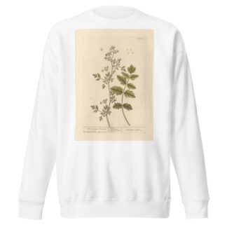 The German amomum by Elizabeth Blackwell Sweatshirt