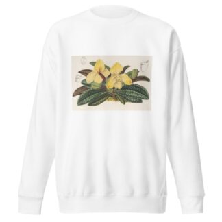 Cypripedium concolor by Charles Antoine Lemaire Sweatshirt