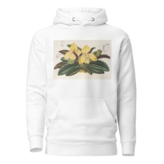 Cypripedium concolor by Charles Antoine Lemaire Hoodie