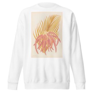Areca Sapida by Georgina Burne Hetley Sweatshirt