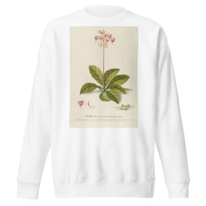 Meadia by Georg Dionysius Ehret Sweatshirt