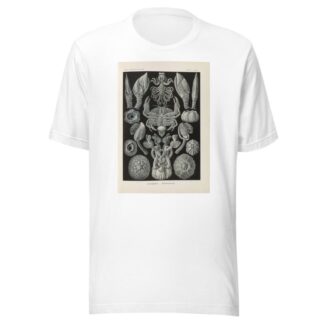 Cirripedia. – Rankenkreble by Ernst Haeckel T-Shirt