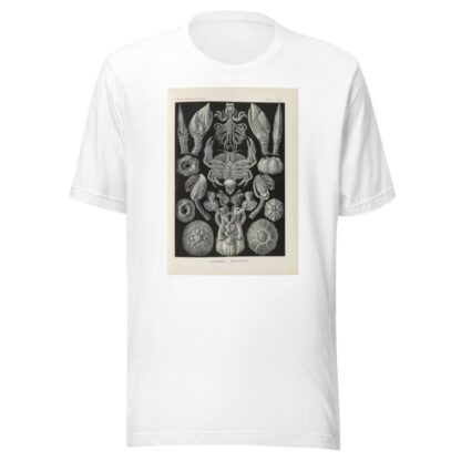 Cirripedia. – Rankenkreble by Ernst Haeckel T-Shirt