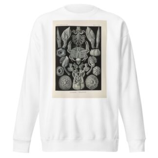 Cirripedia. – Rankenkreble by Ernst Haeckel Sweatshirt