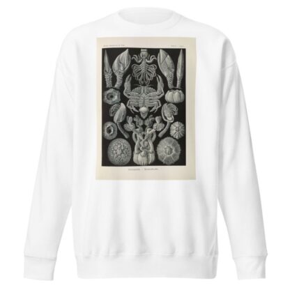 Cirripedia. – Rankenkreble by Ernst Haeckel Sweatshirt