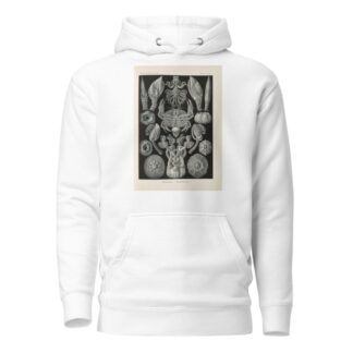 Cirripedia. – Rankenkreble by Ernst Haeckel Hoodie