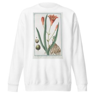 Lilio Asphodelus-pheniceus – Lilium rubrum – Asfodelo con il fior di Giglio – Lys Asphodele. by Giorgio Bonelli Sweatshirt