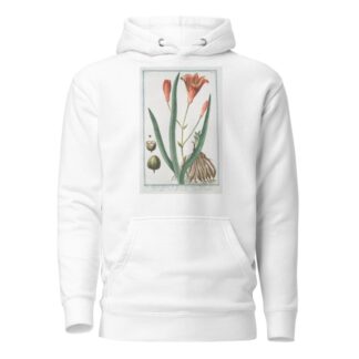 Lilio Asphodelus-pheniceus – Lilium rubrum – Asfodelo con il fior di Giglio – Lys Asphodele. by Giorgio Bonelli Hoodie