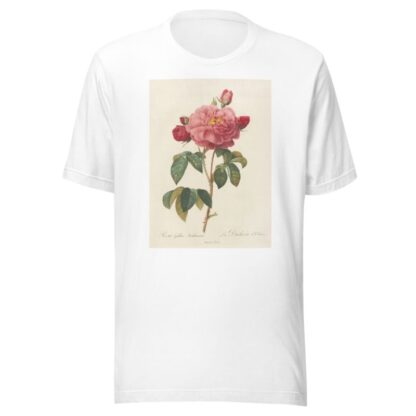 Rosa Gallica Aurelianensis by Pierre Joseph Redouté T-Shirt