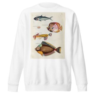 Poissons, ecrevisses et crabes, de diverses couleurs et figures extraordinaires.. Pl.023 by Louis Renard Sweatshirt