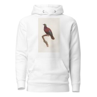 Les pigeons Pl.35 by Coenraad Jacob Temminck Hoodie