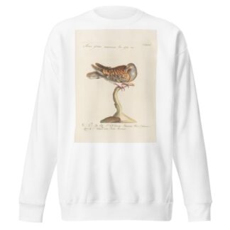 Ornithologia methodice digesta Pl.270 by Saverio Manetti Sweatshirt