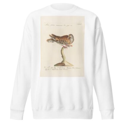 Ornithologia methodice digesta Pl.270 by Saverio Manetti Sweatshirt