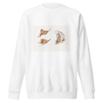 Superficial facial muscles of Echidna by Johan Erik Vesti Boas Sweatshirt