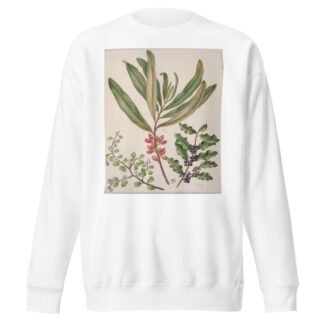 Divaricate Suttonia; Toro; Mapu by Sarah Featon Sweatshirt