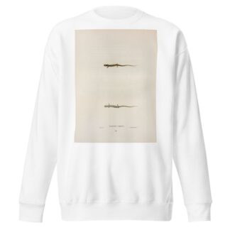 Salamandra quadridigitata by John Edwards Holbrook Sweatshirt
