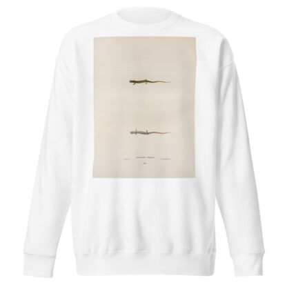 Salamandra quadridigitata by John Edwards Holbrook Sweatshirt