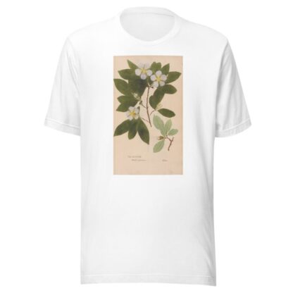Ectypa vegetabilium Pl.088 by Christian Gottlieb Ludwig T-Shirt