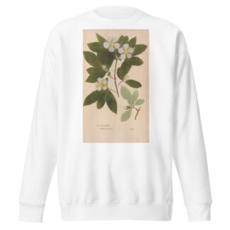 Ectypa vegetabilium Pl.088 by Christian Gottlieb Ludwig Sweatshirt