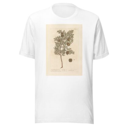 The male cypress tree by Elizabeth Blackwell T-Shirt